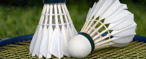 Große Auswahl an hochwertigen Badminton Bällen für Training und Wettkampf auf einem Spielfeld