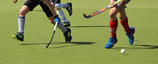 Hockeyball für Training und Wettkampf auf Kunstrasen und Halle, verschiedene Ballarten und Farben
