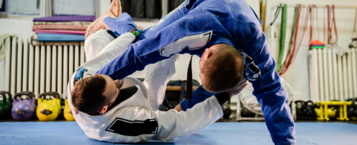 Zwei M&auml;nner beim Judosport