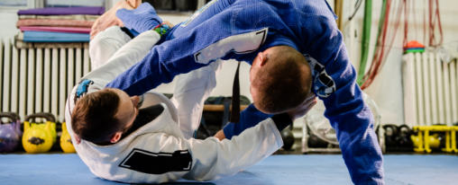 Karate- und Taekwondo-Sportler in traditioneller Ausr&uuml;stung und mit Schutzzubeh&ouml;r w&auml;hrend des Trainings im Dojo