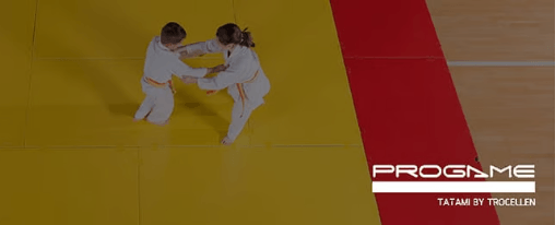 Kampfsportmatten aus Polyethylen-Schaum mit Tatami-Oberfl&auml;che als sichere Trainings- und Wettkampffl&auml;che f&uuml;r Sportvereine