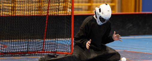 Hockey Tor für Teamsport online kaufen im Kübler Sport Onlineshop Robustes Hockey Tor für Teamsport auf dem Spielfeld – stabile Torpfosten und Netz, geeignet für Training und Wettkampf