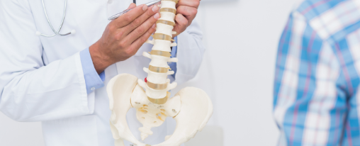 Lebensgro&szlig;es Wirbels&auml;ulenmodell f&uuml;r die anschauliche Patientenaufkl&auml;rung im therapeutischen Unterricht