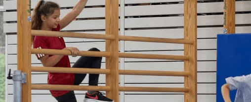 Sprossenwand online kaufen bei Kübler Sport Vielseitige Sprossenwand als Trainingsgerät für Schulen, Vereine und Sporteinrichtungen