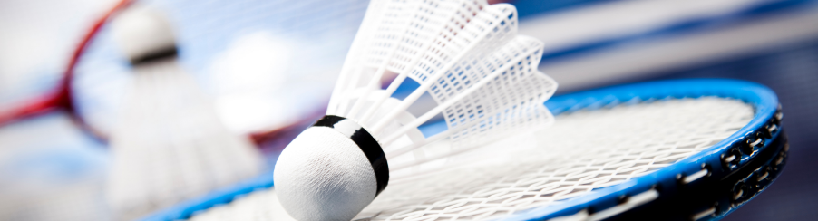 Badmintonbälle