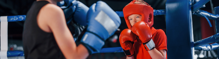 Boxhandschuhe