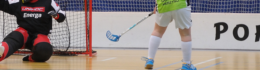 Floorball Banden