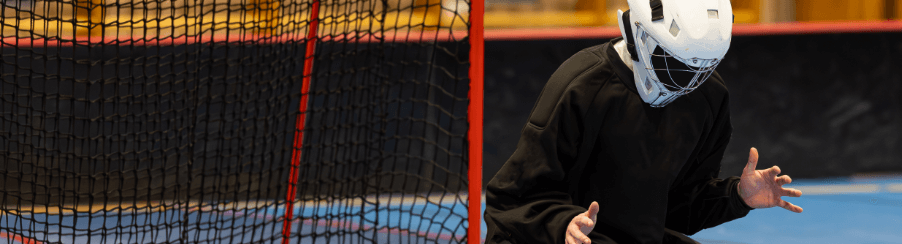 Hockeytore Hockeytore