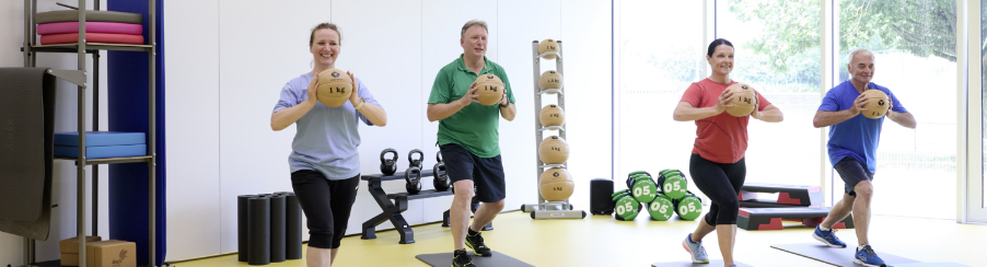 Medizinbälle aus Leder