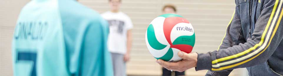 Volleybälle