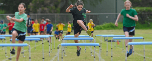 Verstellbare Trainingshürden für Techniktraining im Sprint- und Hürdenlauf – ideal für Schule, Verein und ambitioniertes Leichtathletiktraining.