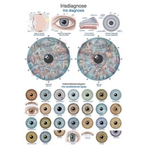 Lehrtafel - Irisdiagnose