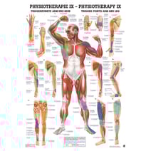 Poster - Triggerpunkte Arm und Bein