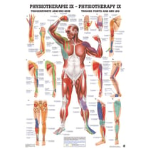Poster - Triggerpunkte Arm und Bein