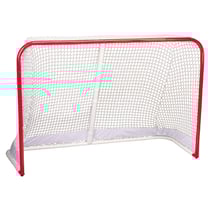 Streethockey-Tor Official