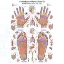 Lehrtafel - Reflexzonen Hand und Fuß