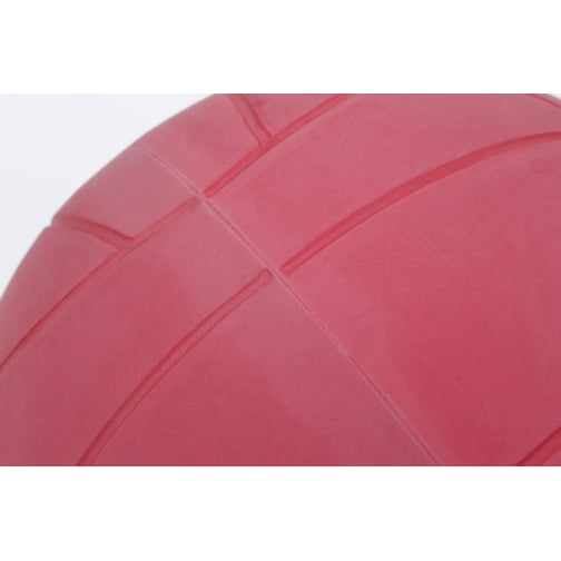 WV® Torball
