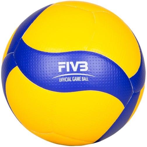 Mikasa® Volleyball V200W-DVV