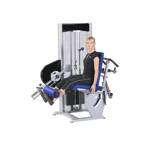 Kombinationsgerät Beinbeuger