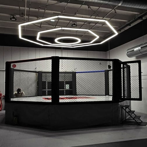 MMA-Käfig mit Plattform