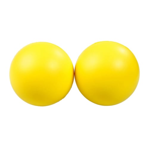 Lenkball® LenVolley