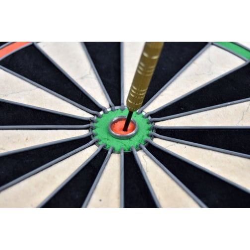 Karella® Dartscheibe Master