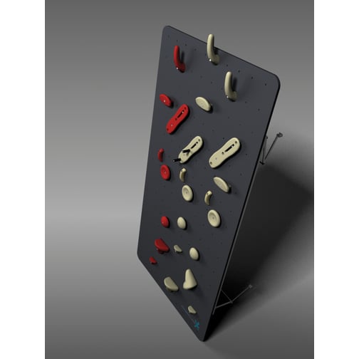 Physioclimb® Kletterwand