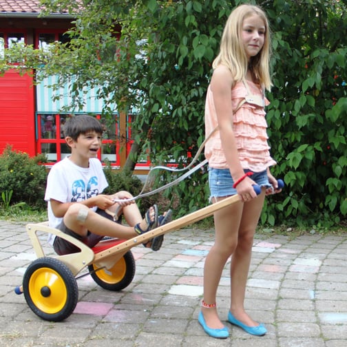 Pedalo® Pferdeleine