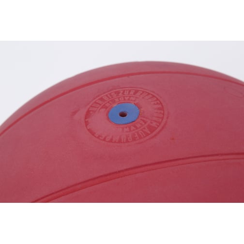 WV® Torball