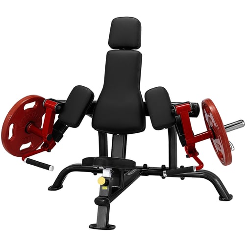 Plate Load Bizepscurlmaschine