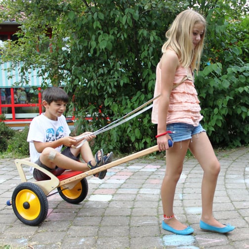 Pedalo® Pferdeleine