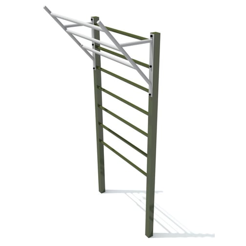 Calisthenics Leiter mit Ausleger