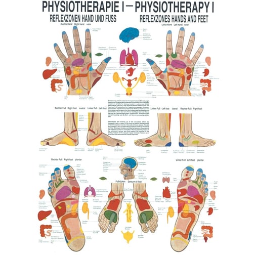 Poster - Reflexzonen