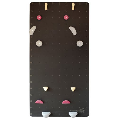PhysioClimb® Kletterwand Standard