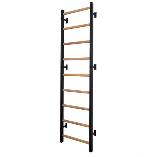 BenchK® Sprossenwand 700