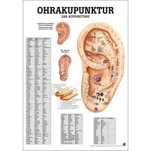 Poster - Ohrakupunktur