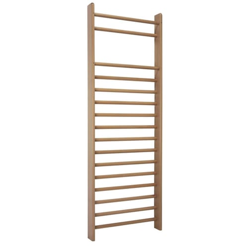 Ferrox® Sprossenwand, 260 x 90 cm