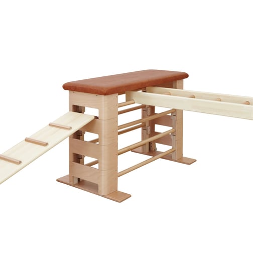 Kübler Sport Kletterleiter VARIANTA