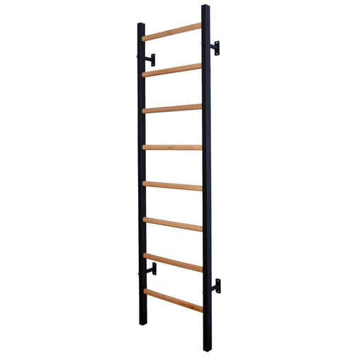 BenchK® Sprossenwand 200