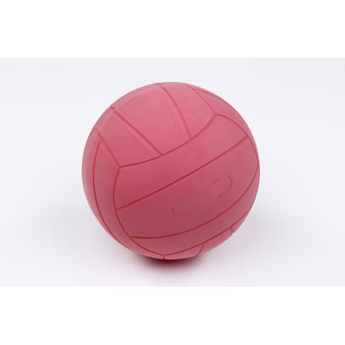 WV® Torball