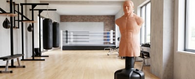 Boxdummies