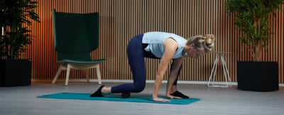 AIREX Gymnastikmatten