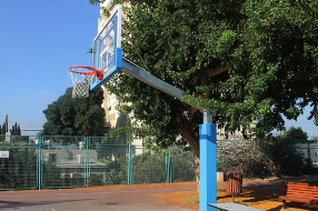 Outdoor Basketball
