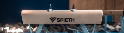 Spieth Wettkampf-Pauschenpferd