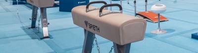 Turnpferd von Spieth in Turnhalle