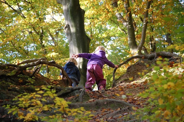 10 Waldspiele &ndash; Spielideen f&uuml;r Kindergruppen | K&uuml;bler Sport