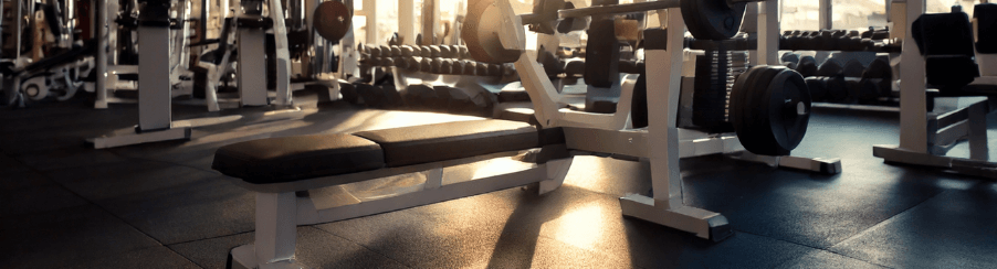 Stabile Hantelbank als Basisgerät für Kraft- und Ausdauertraining, geeignet für verschiedene Übungen.