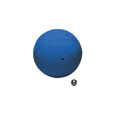 WV® Goalball