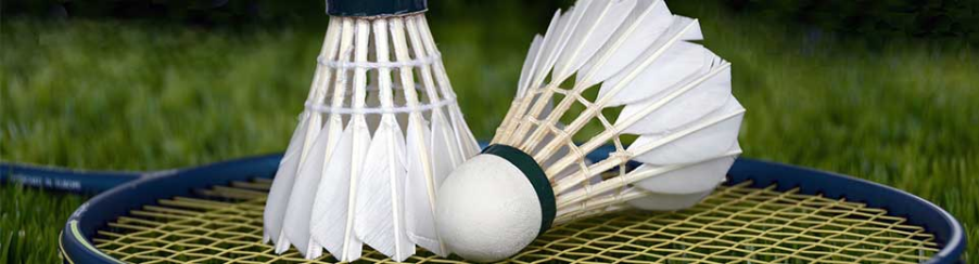 Große Auswahl an hochwertigen Badminton Bällen für Training und Wettkampf auf einem Spielfeld