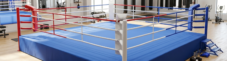 Professioneller Boxring mit Ringseilen und gepolsterten Ecken für Kampfsporttraining in der Sporthalle